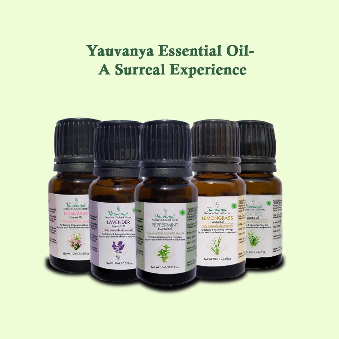 Yauvanya Peppermint Oil 10ml | Aromatherapy & Focus Boost - Image 4