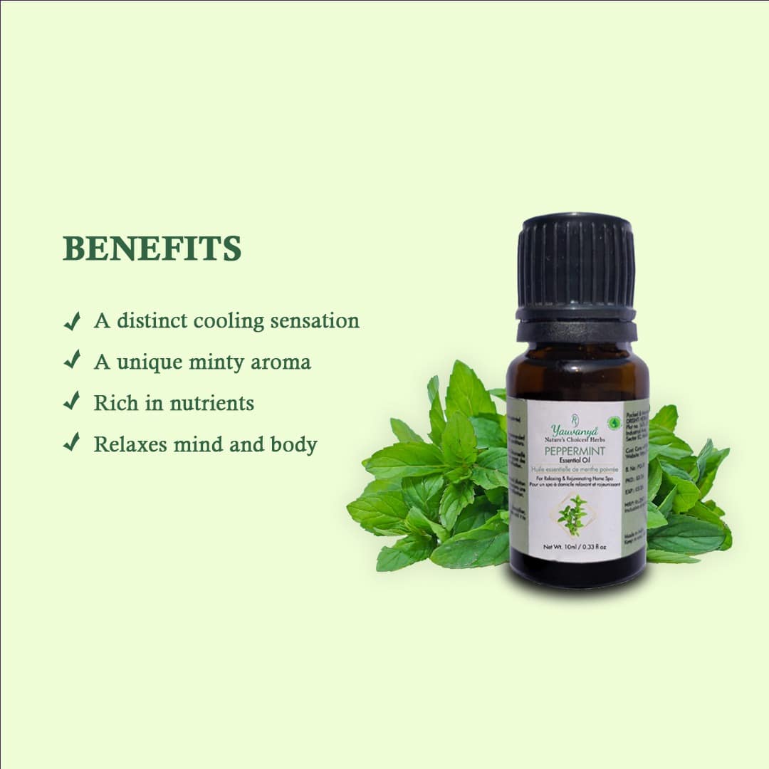 Yauvanya Peppermint Oil 10ml | Aromatherapy & Focus Boost - Image 3