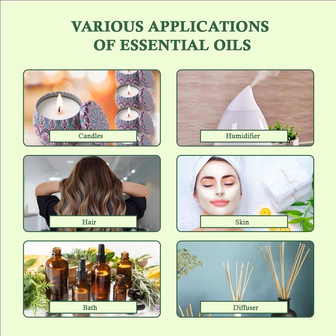 Yauvanya Peppermint Oil 10ml | Aromatherapy & Focus Boost - Image 2